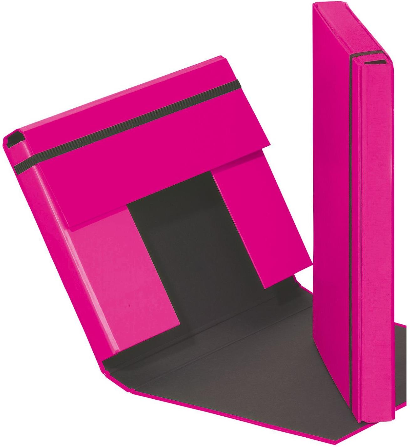 Pagna Trend Colours Heftbox DIN A4 Raspberry