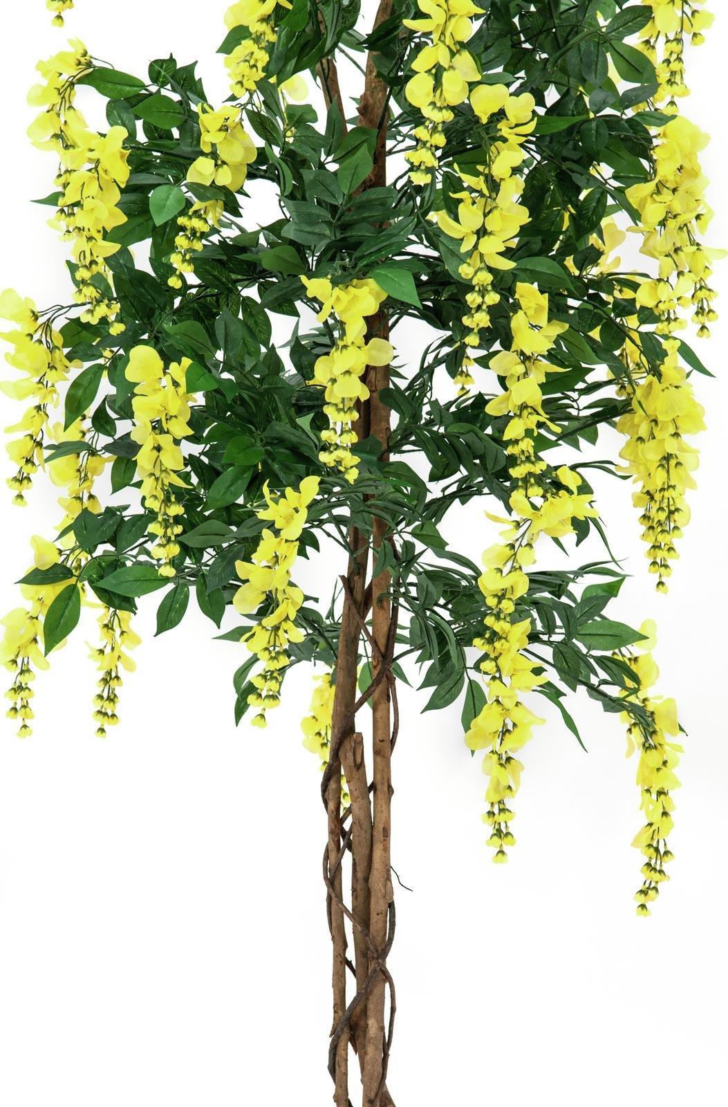 EUROPALMS Goldregenbaum, Kunstpflanze, gelb, 150cm (82507115)