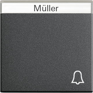 GIRA 067328 Wandplatte/Schalterabdeckung Anthrazit (067328)