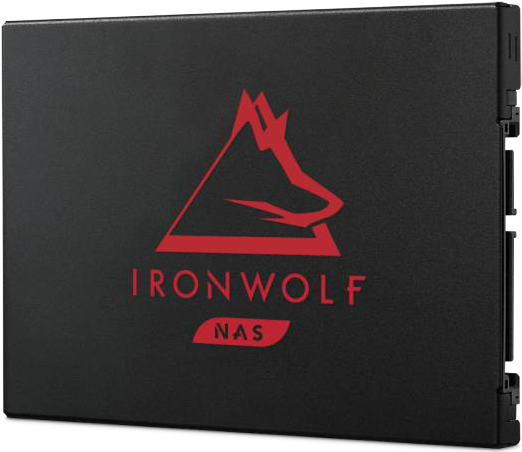 IronWolf 125 SSD 1TB (ZA1000NM1A002)