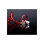 shiverpeaks BASIC-S U/UTP Flach-Patchkabel, Kat.6, 0,25 m rot, 2 x RJ 45 Stecker, Mantel aus PVC, vergoldete Kontakte (SP711-SL0.25R)
