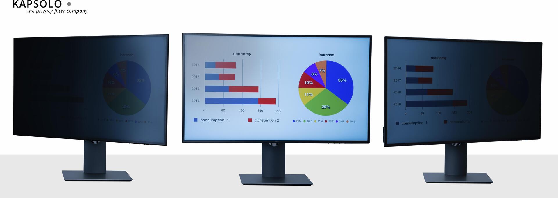 KAPSOLO 2-wege Blickschutzfilter / Blickschutzfolie abnehmbar für 49,53cm (19.5") Wide 16:9 (KAP10719)