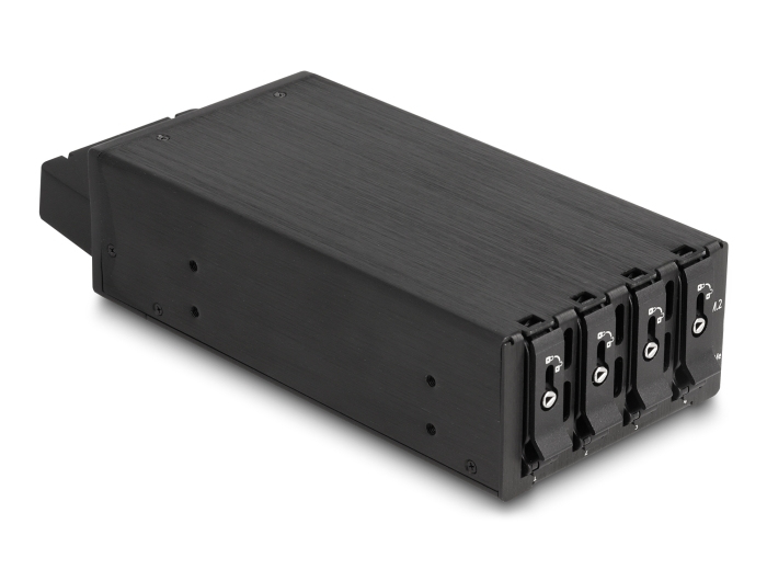 Delock 47126 Mobiles Speicher-Rack Schwarz