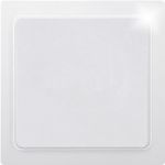 Eltako Blindabdeckung für R1UE55-R4UE55 BLA55E-wg (30055645)