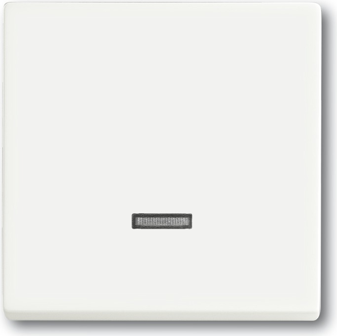 Busch Jaeger 6599-0-2963 Lichtschalter Weiß (6599-0-2963)