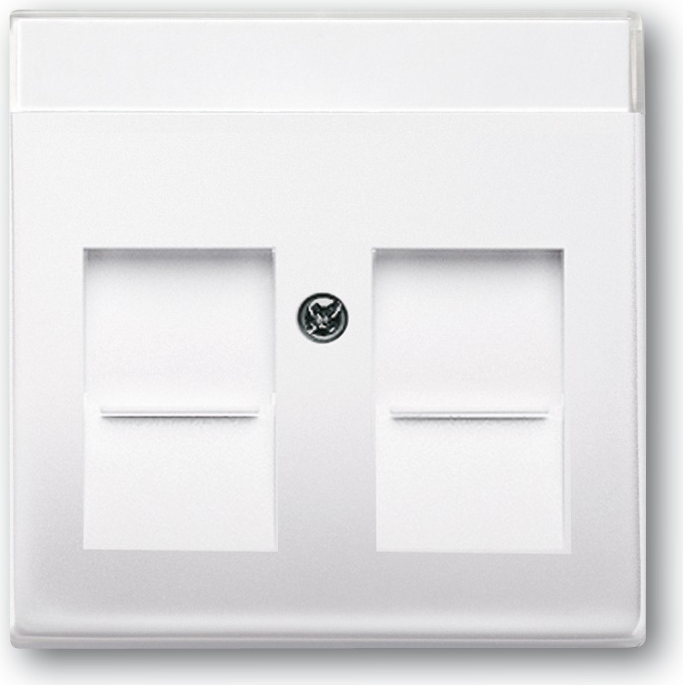 Busch Jaeger 1710-0-3176 Wandplatte/Schalterabdeckung Weiß (1710-0-3176)