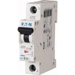 Eaton FAZ-Z2/1 Stromunterbrecher Miniatur-Leistungsschalter (278620)