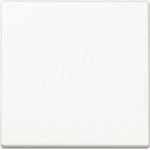 JUNG A1700WW A1700WW Steuertaste Standard (A1700WW)