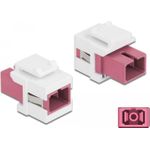 Delock Modulare Eingabe (86717)