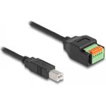 Delock USB 2.0 Kabel Typ-B Stecker zu Terminalblock Adapter mit Drucktaster 15 cm (66249)
