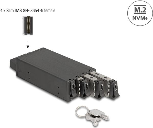 Delock 47126 Mobiles Speicher-Rack Schwarz