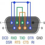 Delock Loopback-Adapter (66826)
