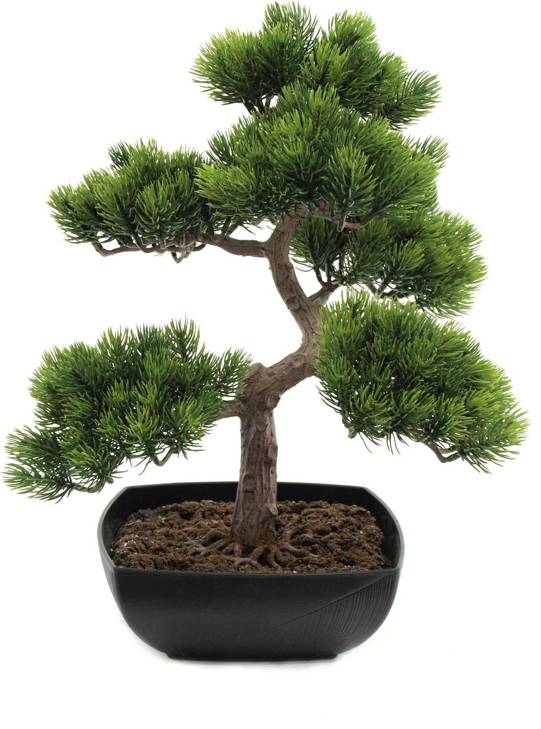 EUROPALMS Bonsai-Pinie, Kunstpflanze, 50cm (82600110)