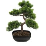 EUROPALMS Bonsai-Pinie, Kunstpflanze, 50cm (82600110)