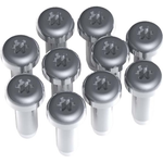 Bachmann Torx T6 Schrauben-Kit (917.111)