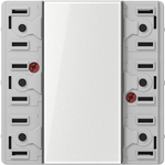 JUNG LS 5073 TSM (LS5073TSM)