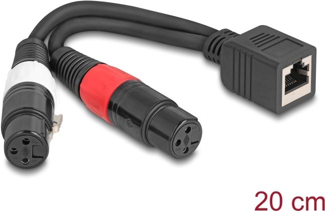 Delock Adapterkabel RJ45 Buchse zu 2 x XLR 3 Pin Buchse schwarz 20 cm (88178)