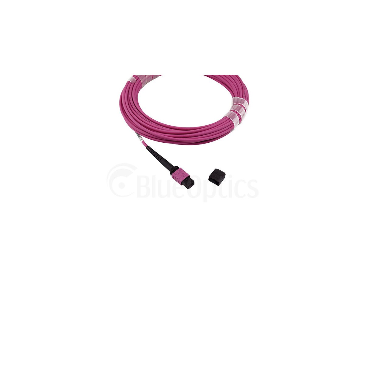 BlueOptics 470-ADBK-BO MPO-MPO Multimode OM4 Patchkabel 3 m Pink