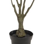 EUROPALMS Dracena, künstlich, grün-rot, 90cm (82505778)