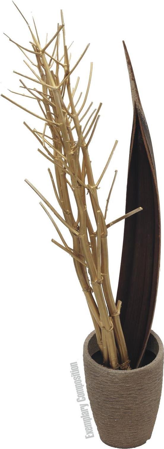 EUROPALMS Fenchelbund, getrocknet, gold, 160cm (83502363)