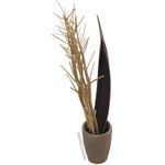 EUROPALMS Fenchelbund, getrocknet, gold, 160cm (83502363)