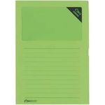 100 ÖKI Sichthüllen grün glatt (61518)