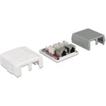 Delock Netzwerk Anschlussdose 2 Port Cat.6A LSA (86197)