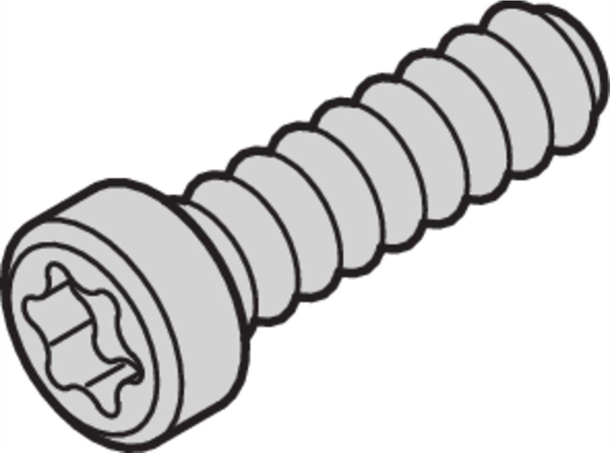 SCHROFF Linsenkopfschraube mit Torx - LIKOSCHR-TORX.2.5X9.3 100ST (21500039)
