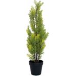 EUROPALMS Zypresse, Leyland, Kunstpflanze, 60cm (82606959)
