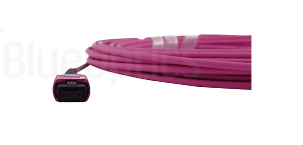 BlueOptics 470-ADBK-BO MPO-MPO Multimode OM4 Patchkabel 3 m Pink