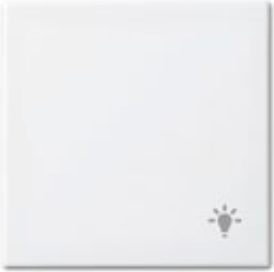 Busch-Jaeger 1731-0-2010. Produktfarbe: Weiß, Markenkompatibilität: Busch-Jaeger, Kompatibilität: Busch-balance SI (1731-0-2010)