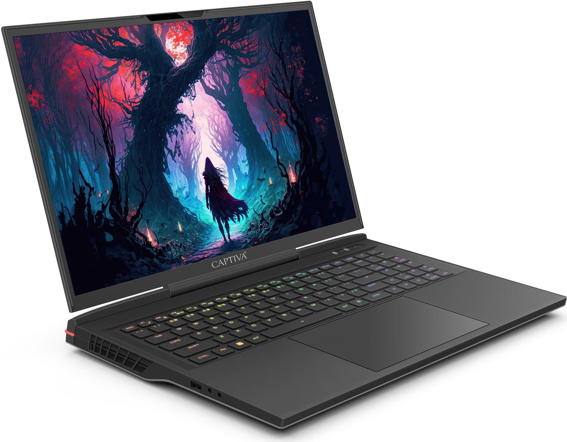 CAPTIVA Highend Gaming I81-487 Laptop 43,9 cm (17.3") WQXGA Intel® Core™ i9 32 GB DDR5-SDRAM 2 TB SSD NVIDIA GeForce RTX 4070 Wi-Fi 6 (802.11ax) Schwarz (81487)