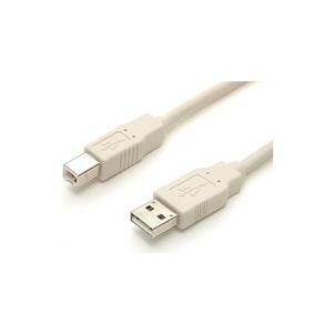StarTech.com 6 ft Beige A to B USB 2.0 Cable (USBFAB_6)