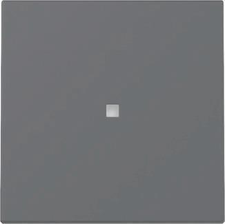 GIRA Wippe 329028 Kontrollf.Sys.55 anthr (329028)