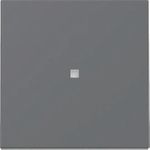 GIRA Wippe 329028 Kontrollf.Sys.55 anthr (329028)