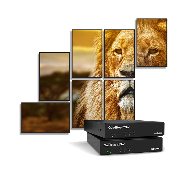 Matrox QuadHead2Go Q155 HDMI Videowand-Controller Schwarz