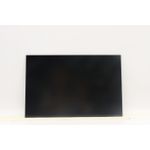 Lenovo 14.0-inch WUXGA IPS display (5D11U14074)