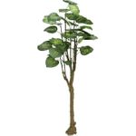 EUROPALMS Pothosbaum, Kunstpflanze, 175cm (82600163)