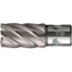 BDS Kernbohrer HSS-Co 8% 12 mm Schnitttiefe 35mm QuickIN Aufnahme (KBK-F 012)