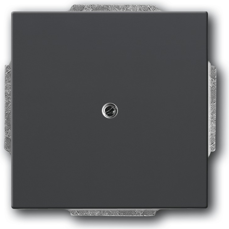 Busch Jaeger 1749-885 Schwarz (1710-0-3900)