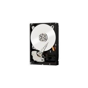 Western Digital RE 500GB 3.5" SATA III (WD5003ABYZ)