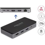 Delock Dockingstation (88271)