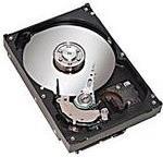HP Festplatte 160 GB (455954-001)