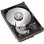 HP Festplatte 160 GB (455954-001)