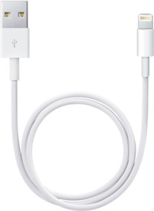 Apple Lightning-Kabel (ME291ZM/A)