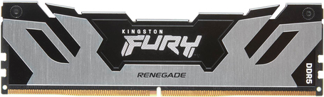 Kingston FURY Renegade Silver (KF560C32RS-16)