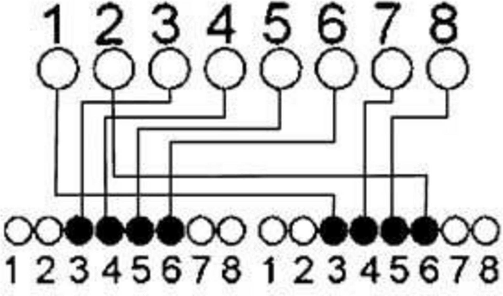 S/CONN maximum connectivity Adapter Telefon Patch-cat. 5e Patchkabeladapter, RJ 45 Stecker auf 2 x RJ 45 Buchse, geschirmt, Belegung: Telefon / Telefon, 0,1 m (75002)
