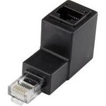 Renkforce RJ45 Netzwerk Adapter CAT 5e 90° nach unten gewinkelt [1x RJ45-Stecker - 1x RJ45-Buchse] 0.00 m Schwarz Renkforce
