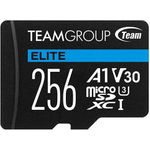 Team Group Flash card Micro-SD 256GB-XC Team Elite A1 V30 R/W:90/45MBs (TEAUSDX256GIV30A103)