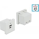 Delock Easy 45 USB-Ausgang (81313)